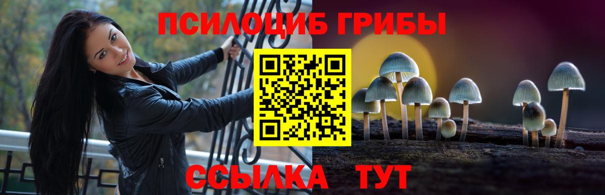 Азнакаево  Псилоцибиновые грибы мухоморы  Псилоцибиновые грибы прущие грибы  Вход с VPN 